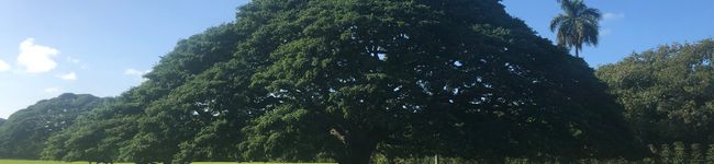 Panaキッチン's header image