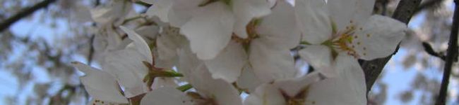 natio's header image