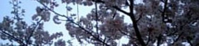 aco8's header image