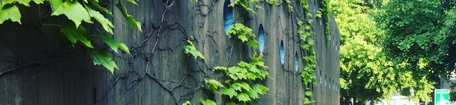 セイミー's header image
