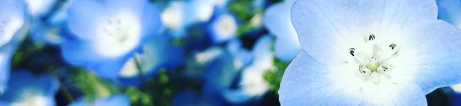 ＊An〜na＊'s header image