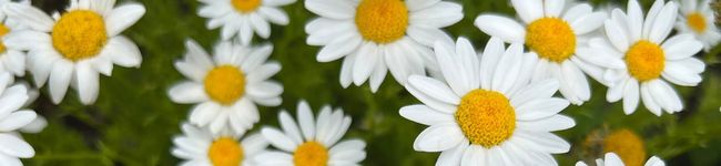 ＊たかぎー＊'s header image