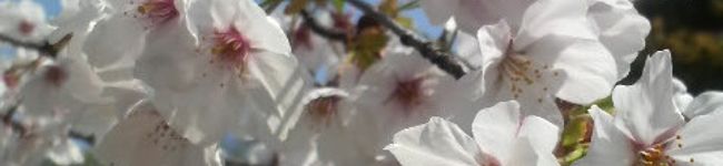 ～YoSsi～'s header image