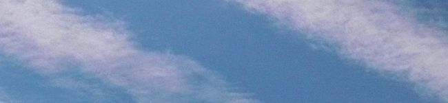 こり～'s header image