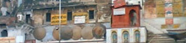 mustard's header image