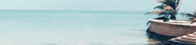 SeaChura's header image
