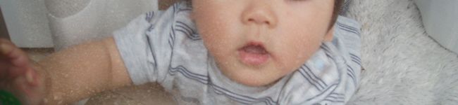 hmr　family's header image