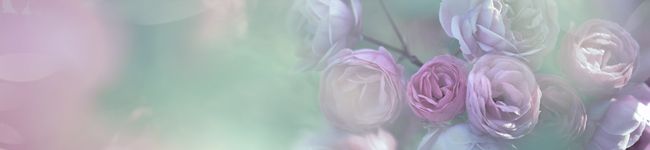 クックGIBGSN☆'s header image