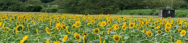 RHママ☆'s header image