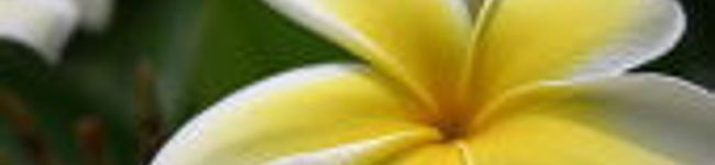 MAM１２２０'s header image