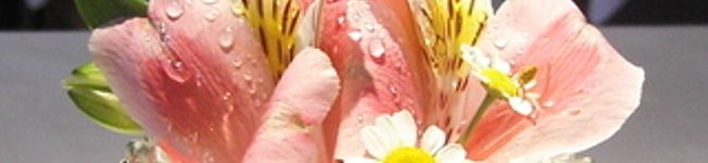 おやま亭's header image