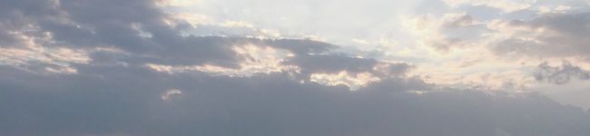 やぎ、's header image