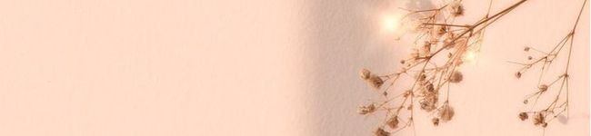 shiro⑅'s header image