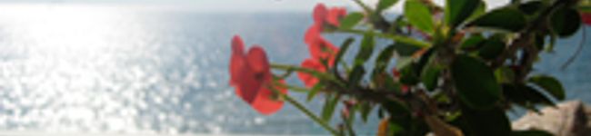 riekichi03's header image