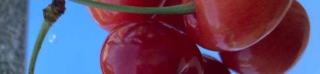 Aikitchens's header image
