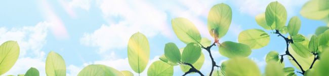 ✨じゅじゅキッチン's header image