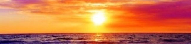 Mai0609's header image