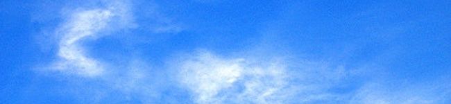 桐花♪'s header image