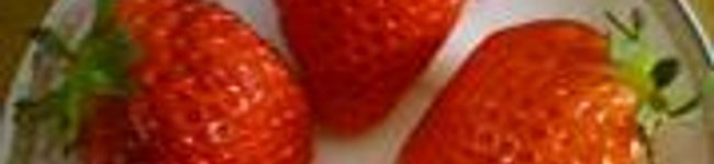 たくとも2006's header image