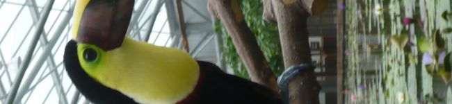ふみぽんデコポン's header image
