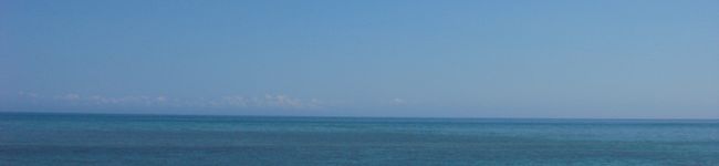 satorutomo's header image