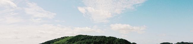ライス佐藤's header image