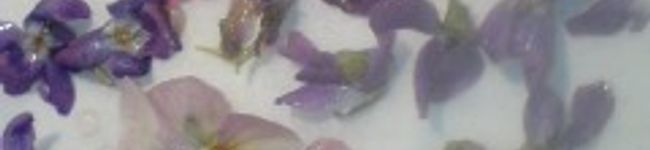 nagoyann's header image