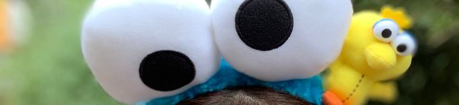 RIN1383's header image