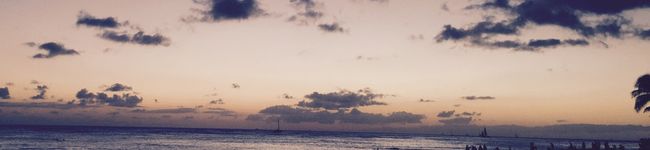 目木入's header image