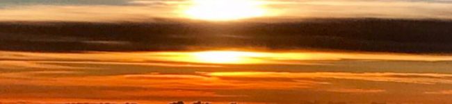 SOLOVER's header image