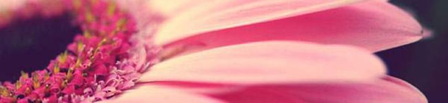 Noriben♪'s header image