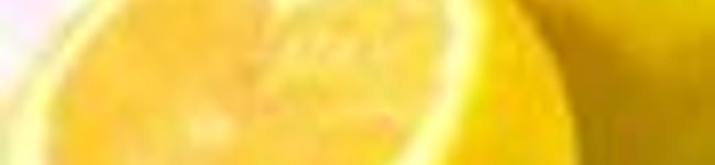 ﾄﾞﾝｸﾞﾘ's header image