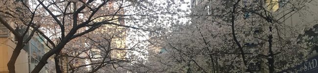kazupato's header image