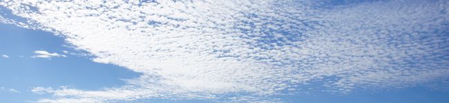 しゅづか's header image