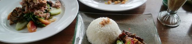 sari salt's header image