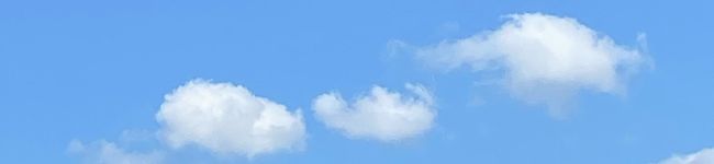 ごーるでんべあ☆'s header image