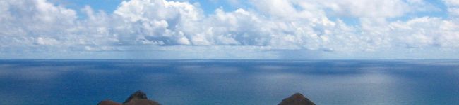 lei pikake's header image