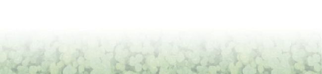 teaflower's header image