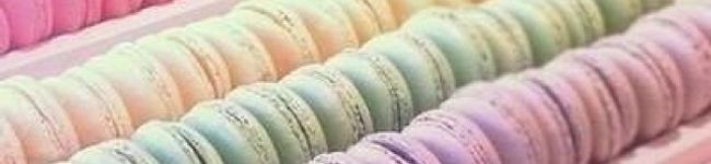 yammy1719's header image