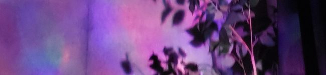 DxMbR's header image