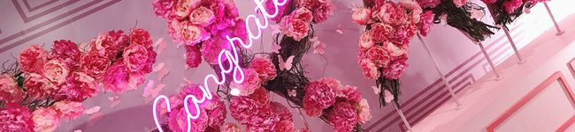 miyut0303's header image
