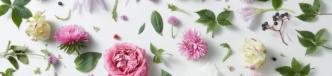 ゆあ❁'s header image