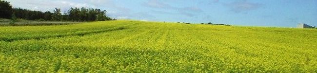 megmilk0307's header image