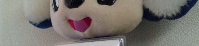 小町商店ちゃん's header image