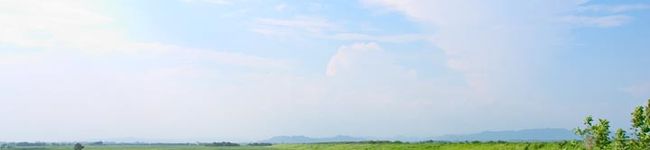 Love Sweet's header image