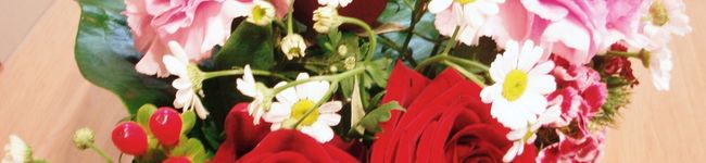 choconut's header image