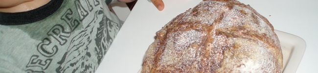 timomi's header image