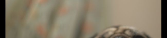 3645's header image