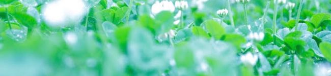 クック31TUSW☆'s header image