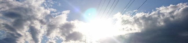 フィンセント's header image